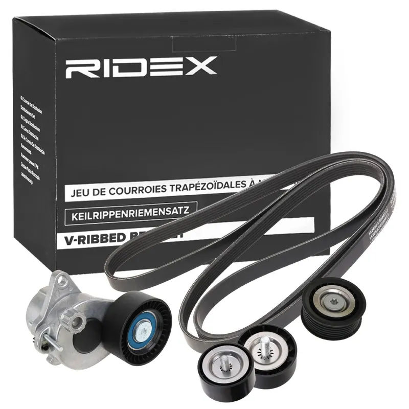 RIDEX 542R0624 Drivremssats