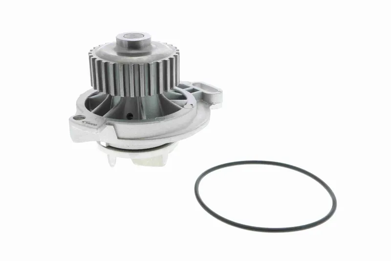 Vattenpump VAICO V10-50031
