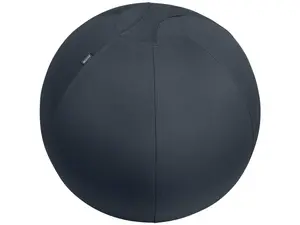 Leitz Ergo Active Sittboll med stoppfunktion 65cm mörkgrå
