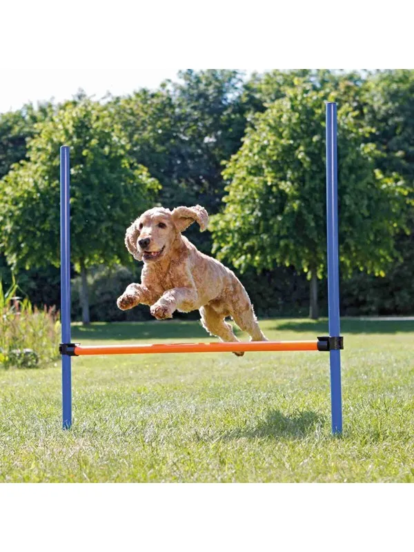 Agility Hopphinder till Hund - 123 x 115 cm