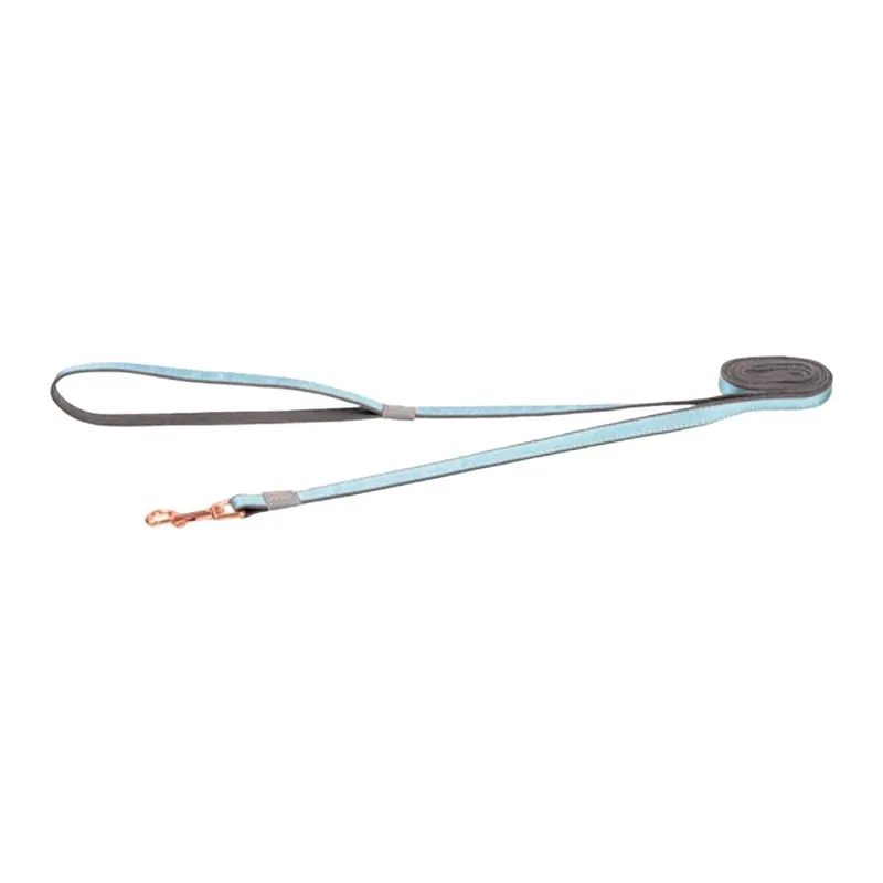 Rogz Urban Hundkoppel 180cm (#6864)