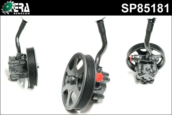Servopump ERA Benelux SP85181
