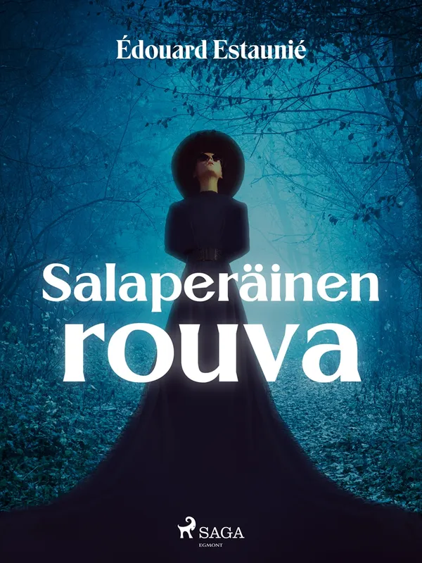 Salaperäinen rouva, E-bok
