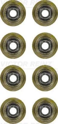 Packningssats, ventiler REINZ 12-35893-01