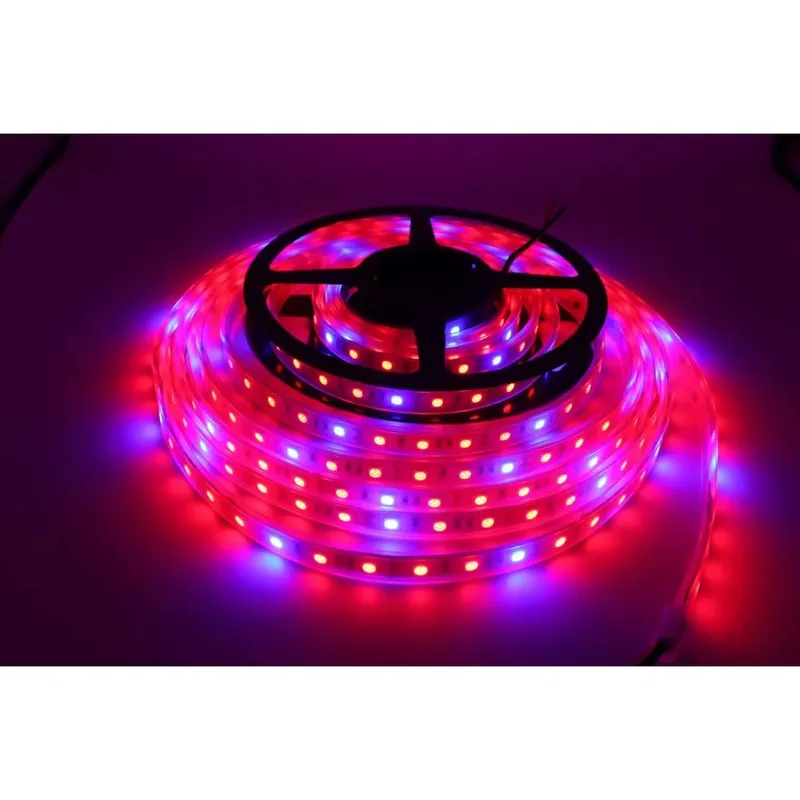 8,5W/m stänktät växt LED-remsa - 5m, 60 LED per meter, 24V DC, IP65