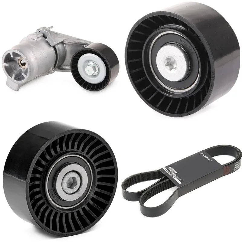 Drivremssats RIDEX 542R0565