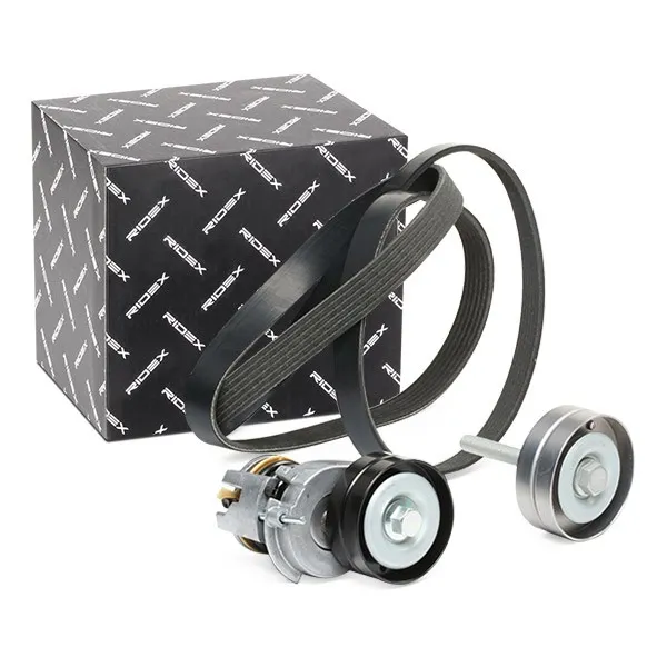RIDEX 542R0449 Drivremssats
