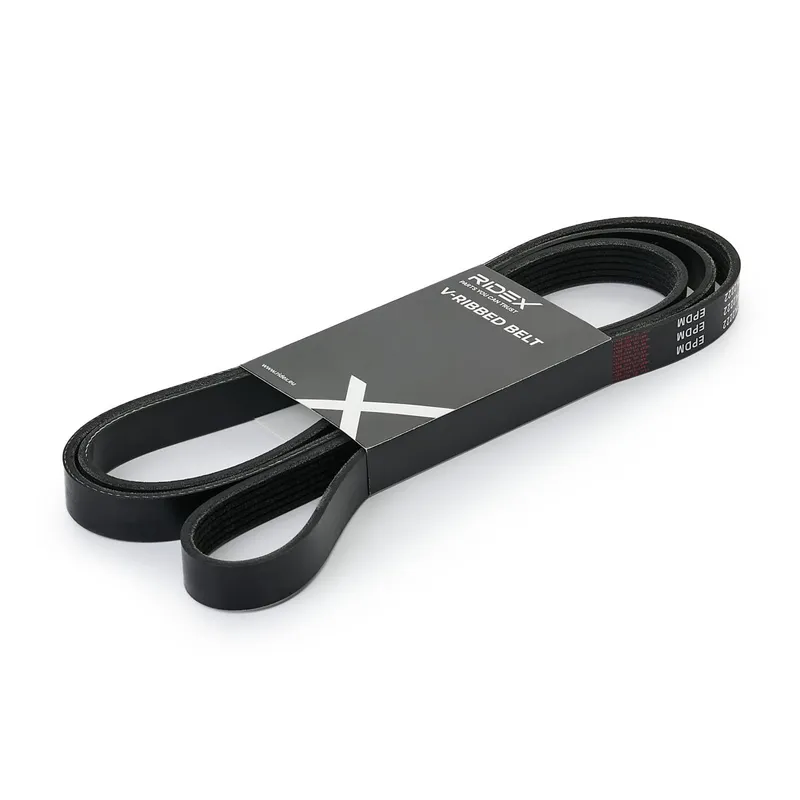 Multirem RIDEX 305P0447