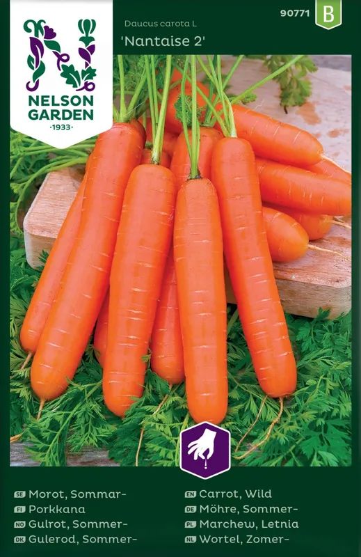 Morot Sommar Nantaise 2 - Daucus carota Nantise 2