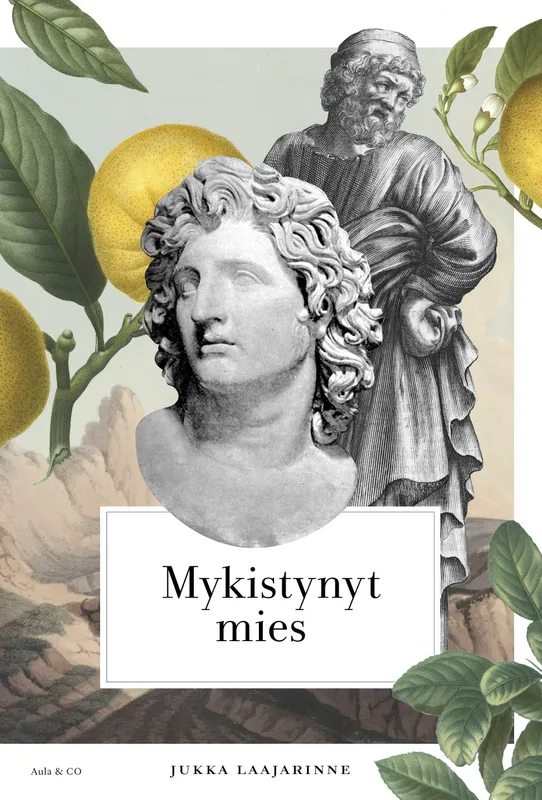 Mykistynyt mies, E-bok