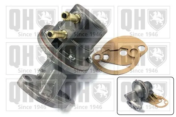 QUINTON HAZELL QFP317 Bensinpump
