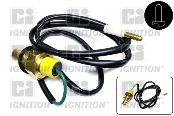 QUINTON HAZELL XTS19 Sensor, oljetemperatur