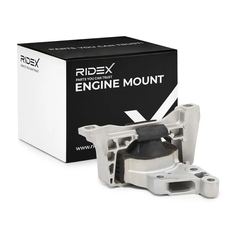 RIDEX 247E1008 Motorkudde