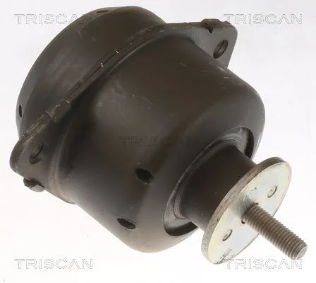 Motorkudde TRISCAN 8505 65103