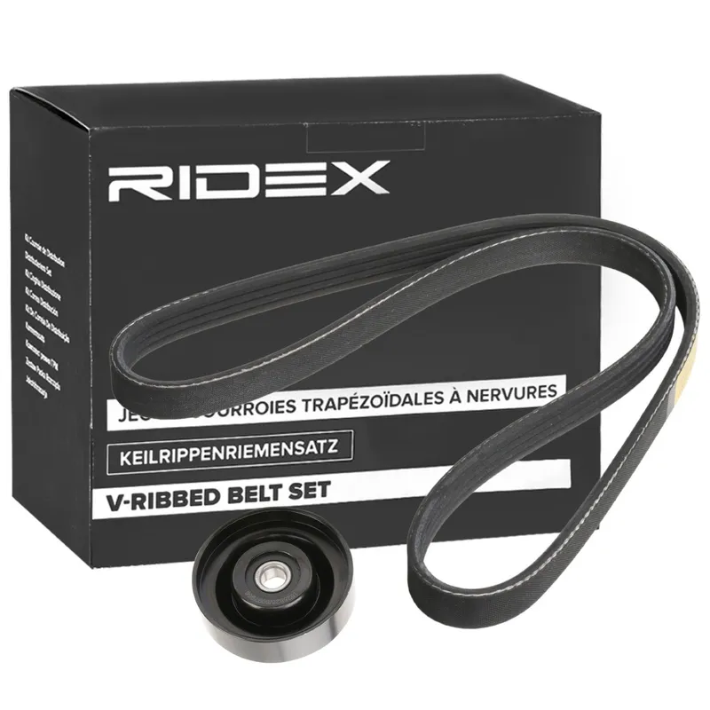Drivremssats RIDEX 542R0755