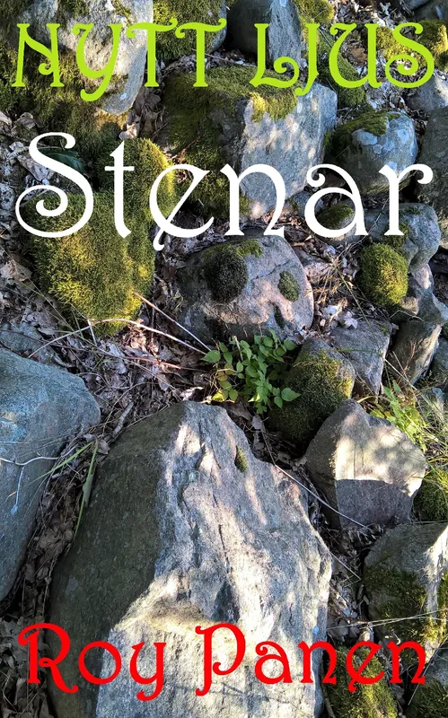 NYTT LJUS Stenar, E-bok