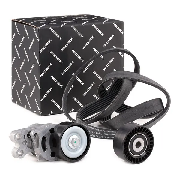 Drivremssats RIDEX 542R0251