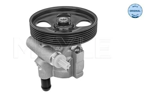 Servopump MEYLE 16-16 631 0005