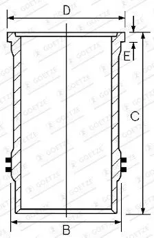 GOETZE ENGINE 15-600020-00 Cylinderfoder