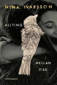 Allting mellan oss