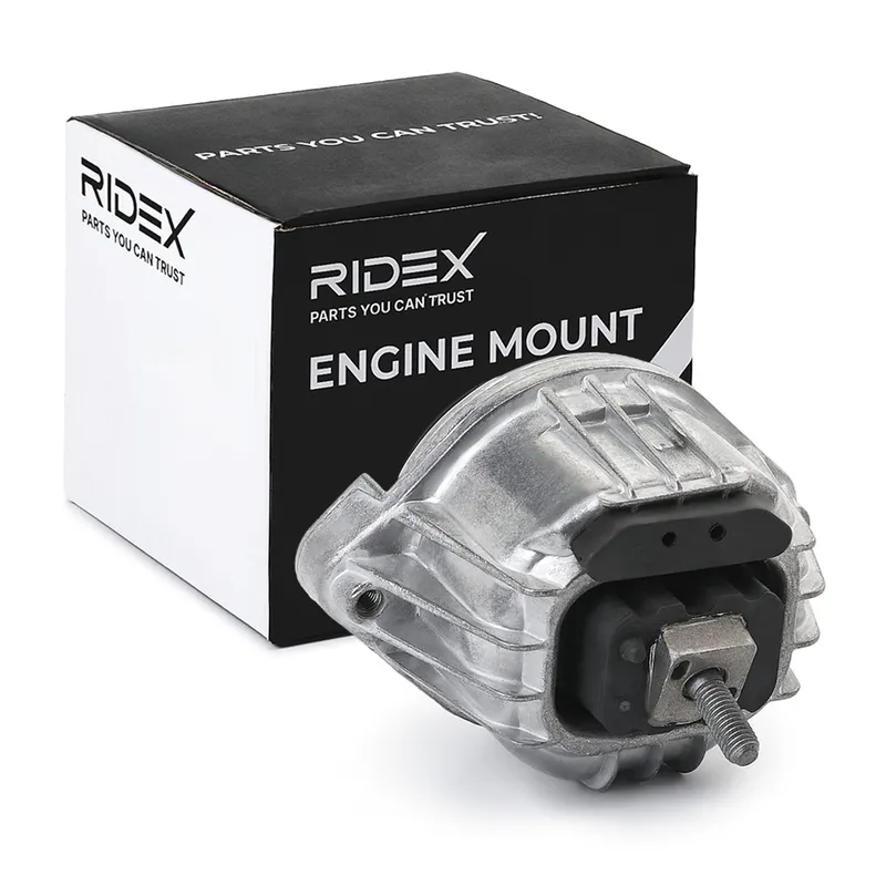 Motorkudde RIDEX 247E0766