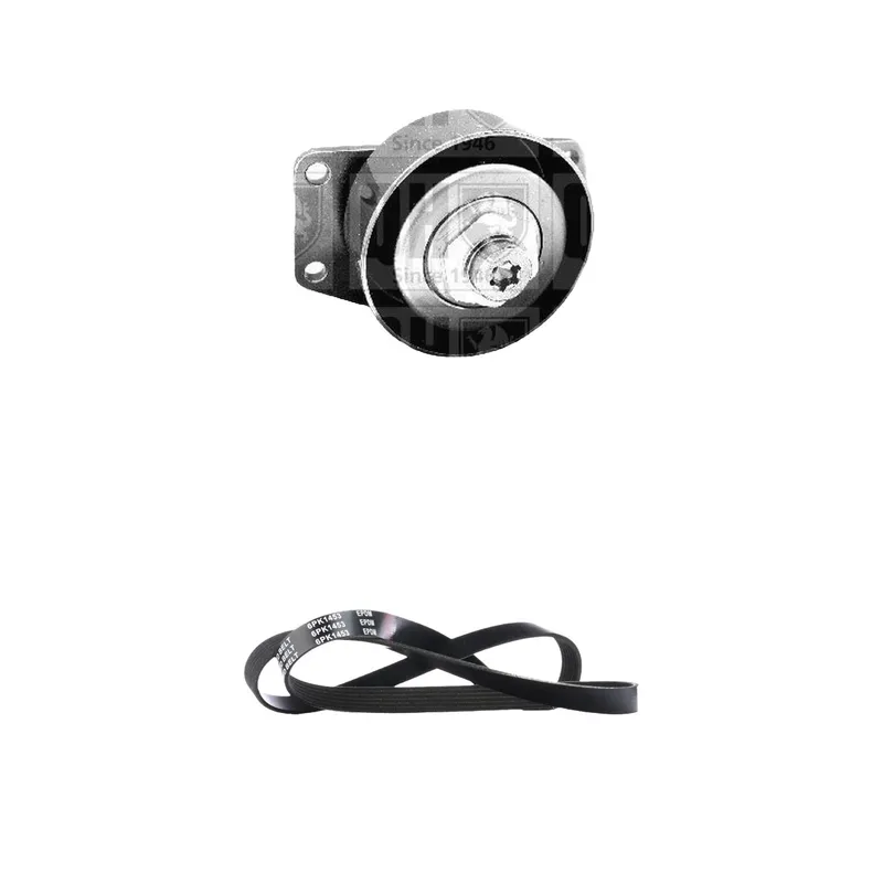 RIDEX 542R1195 Drivremssats