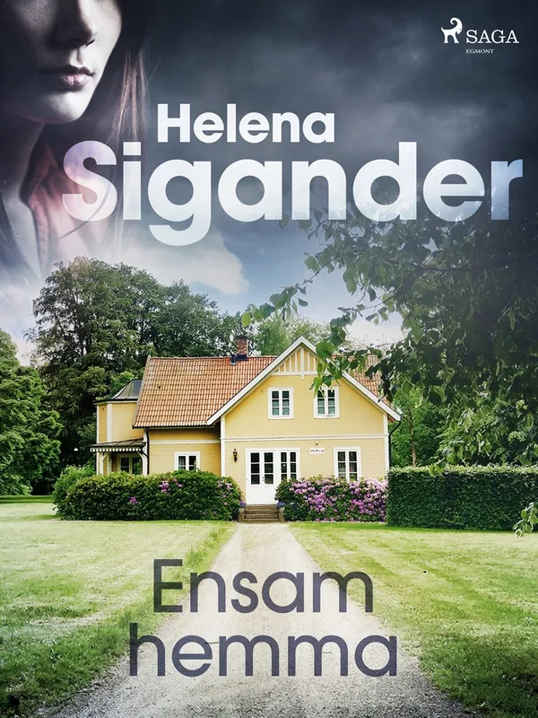Ensam hemma, E-bok