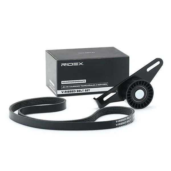 Drivremssats RIDEX 542R0138