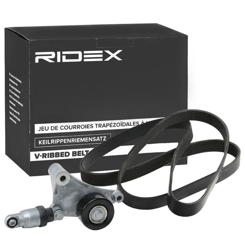 Drivremssats RIDEX 542R0858