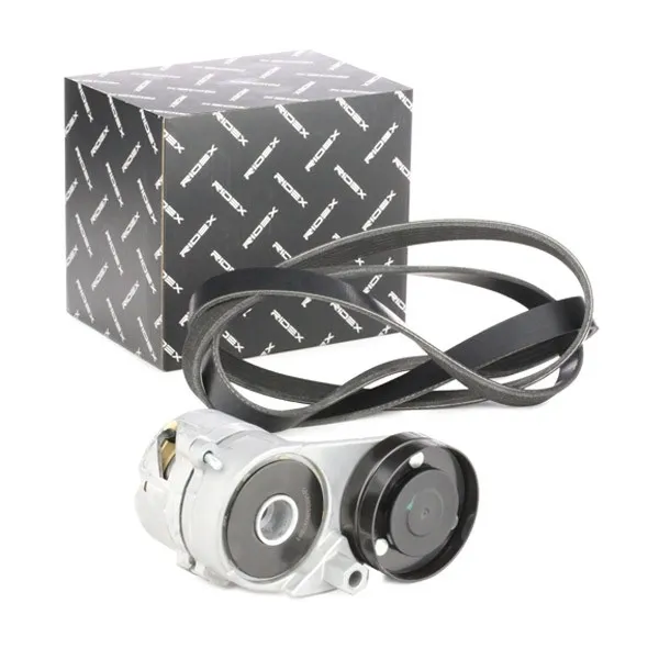 Drivremssats RIDEX 542R0181