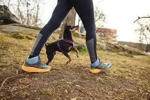 Line Harness 5.0 Hundsele Blå 4