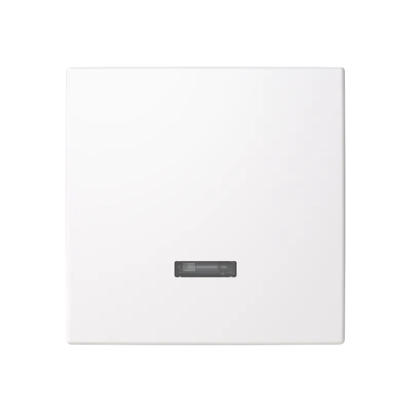 ABB Saga 6543-916-102-510 Centrumplatta vit