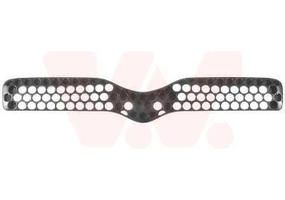 Kylargrill VAN WEZEL 5430510