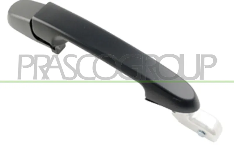 Dörrhandtag PRASCO HN0198132