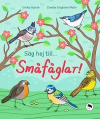 Säg hej till… småfåglar!