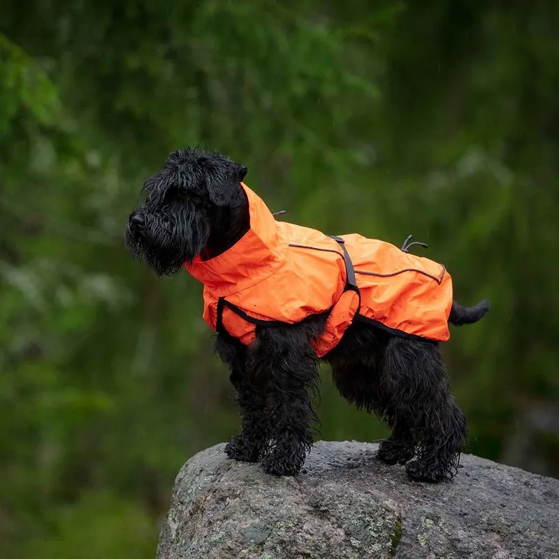 Feel Active Reflective Regnjacka Orange (#8034)