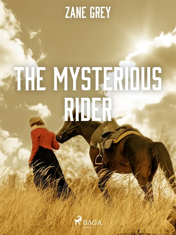 The Mysterious Rider, E-bok