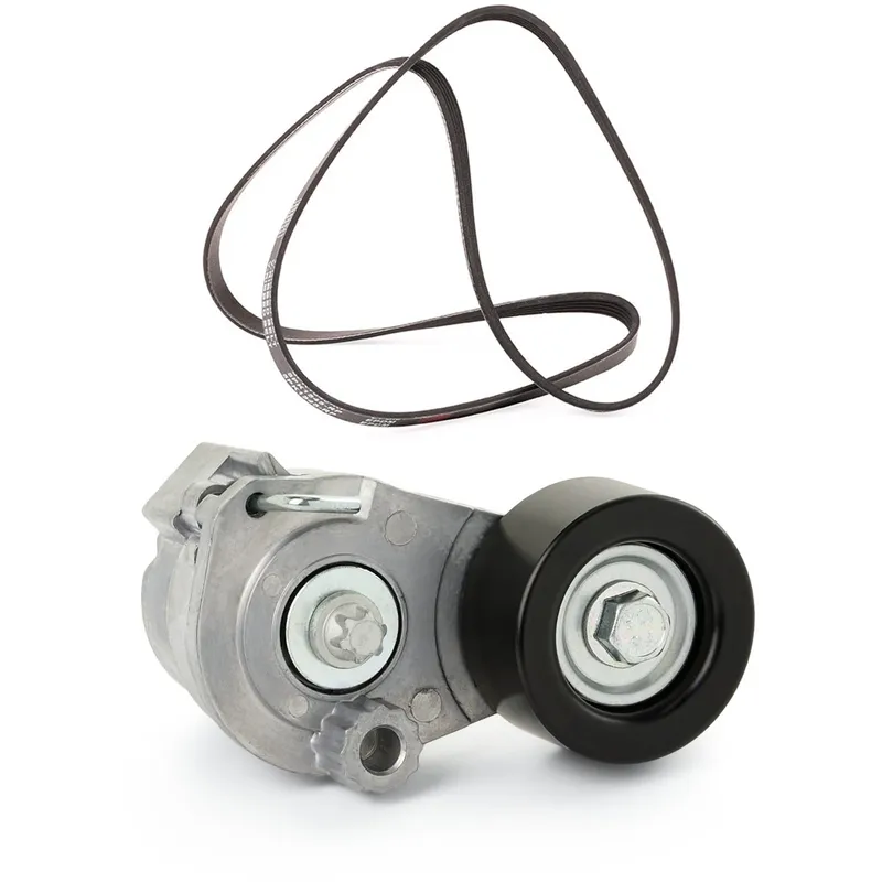 RIDEX PLUS 542R0100P Drivremssats