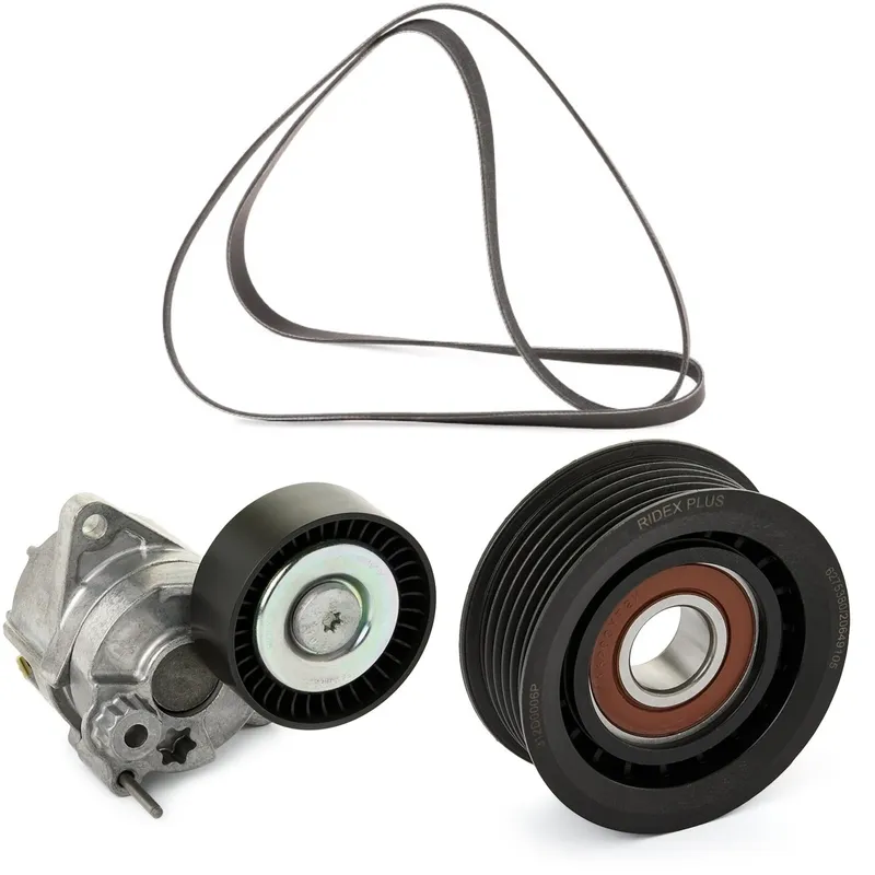 Drivremssats RIDEX PLUS 542R0042P