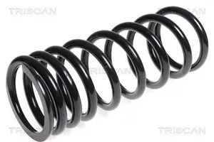Spiralfjäder TRISCAN 8750 1745