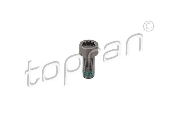 Svänghjulsbult TOPRAN 117 243