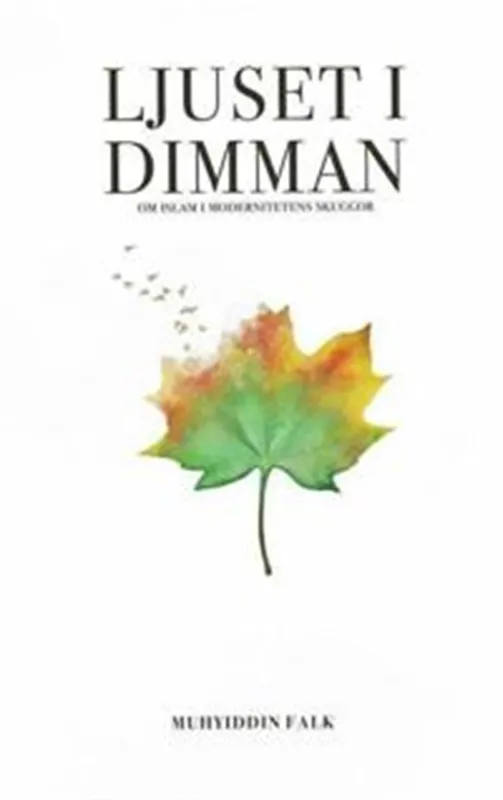 Ljuset i dimman – Om Islam i modernitetens skuggor, E-bok