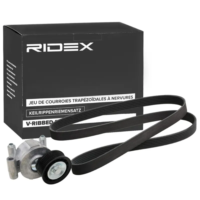 Drivremssats RIDEX 542R0754