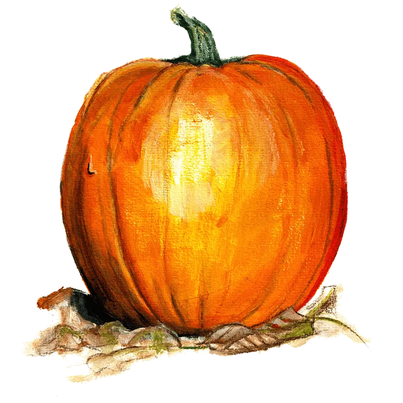 Pumpa, Halloween-, Ghost Rider - Cucurbita pepo Ghost Rider