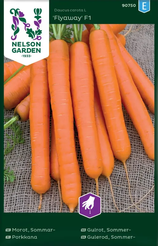 Morot Sommar Flyaway F1 - Daucus carota ssp. Sativus Flyaway F1