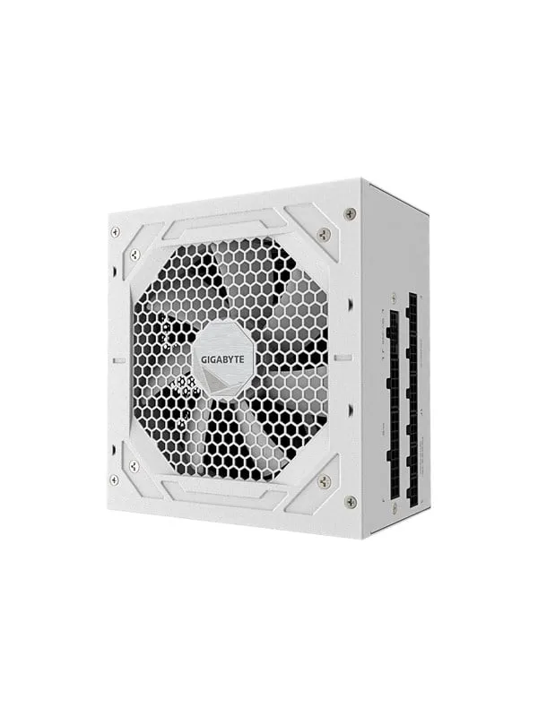 GIGABYTE UD750GM PG5 V2 ICE Strömförsörjning - 750 Watt - 120 mm - 80 Plus Gold certificate