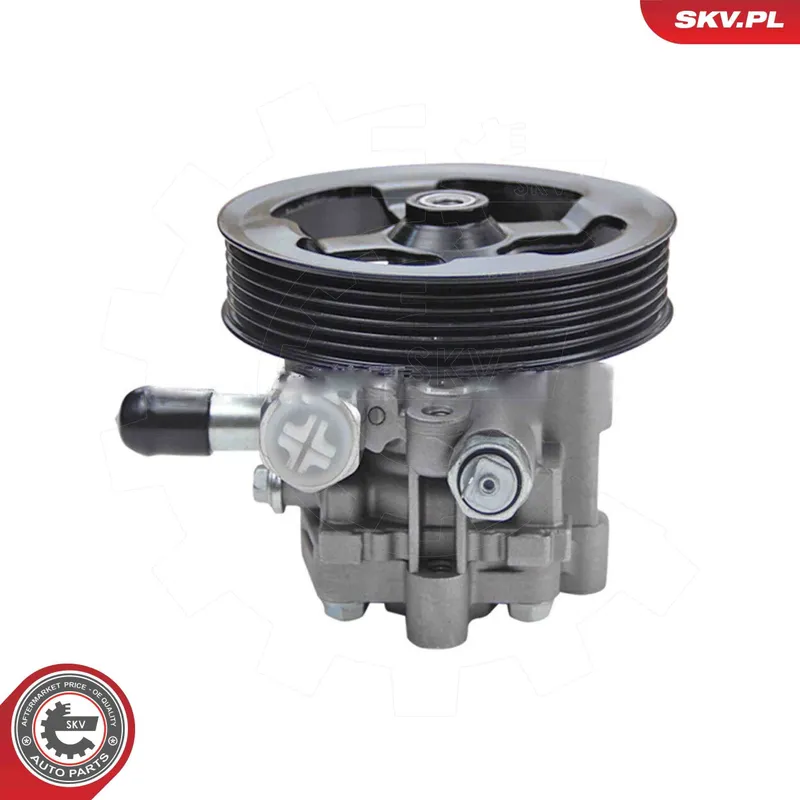 Servopump ESEN SKV 10SKV343