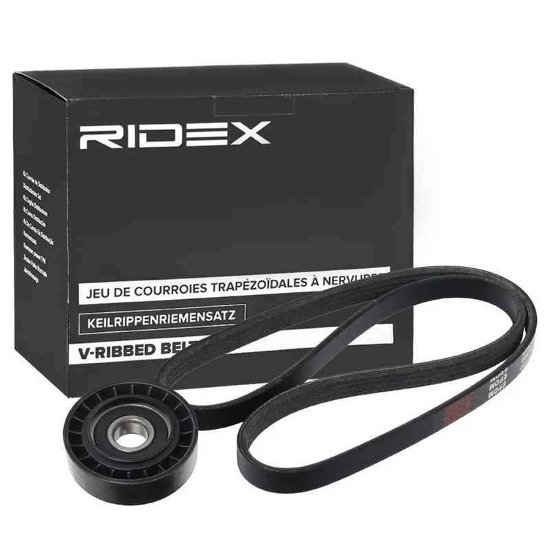 Drivremssats RIDEX 542R0747