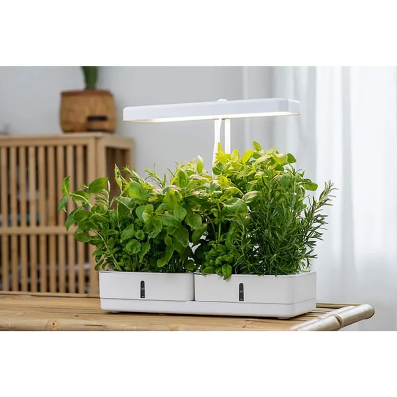 Airam - Växtbelysning Daisy - Växtbelysning - Vit