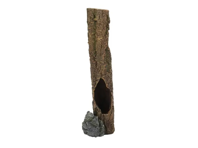 Hobby Cork Trunk 1 33,5cm